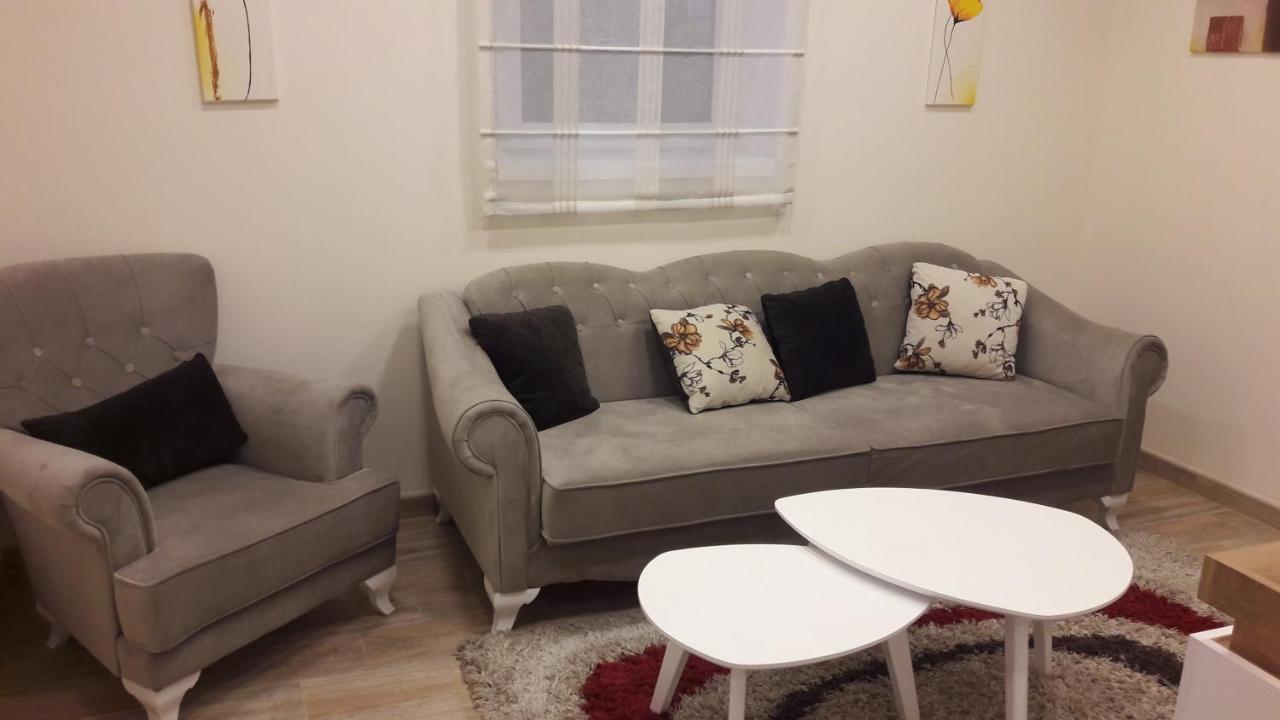 Apartment Dedinje Hill 2 贝尔格莱德 外观 照片